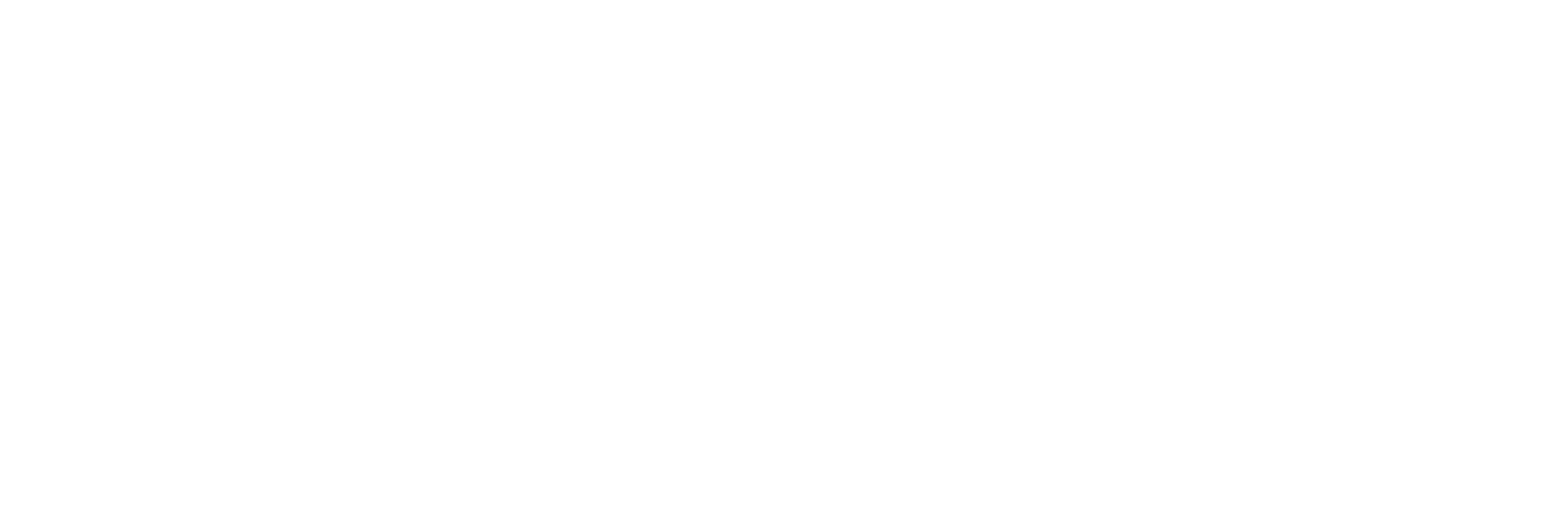Nano™ Paint Protection Film Logo